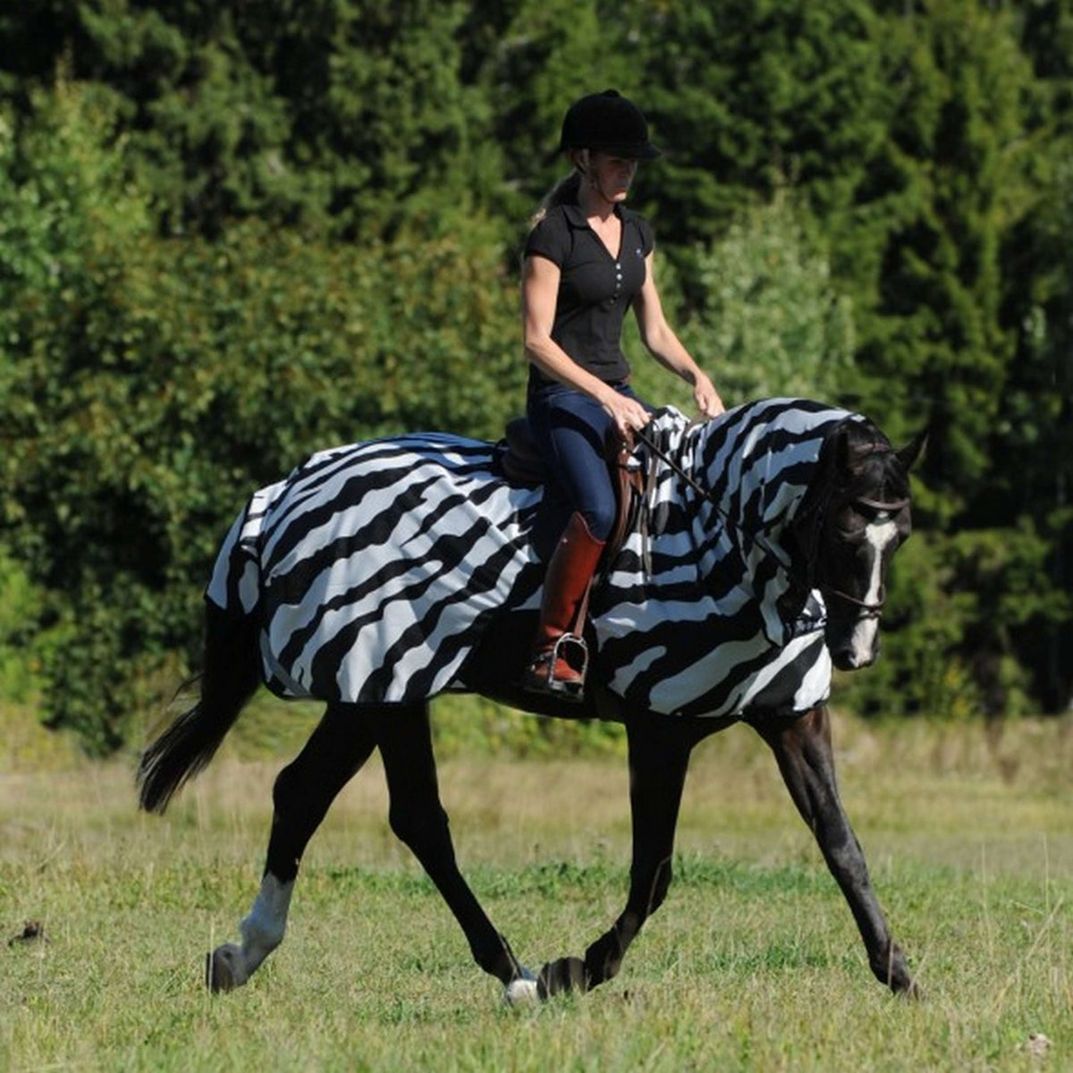 Bucas Vliegendeken Buzz-Off Riding Zebra