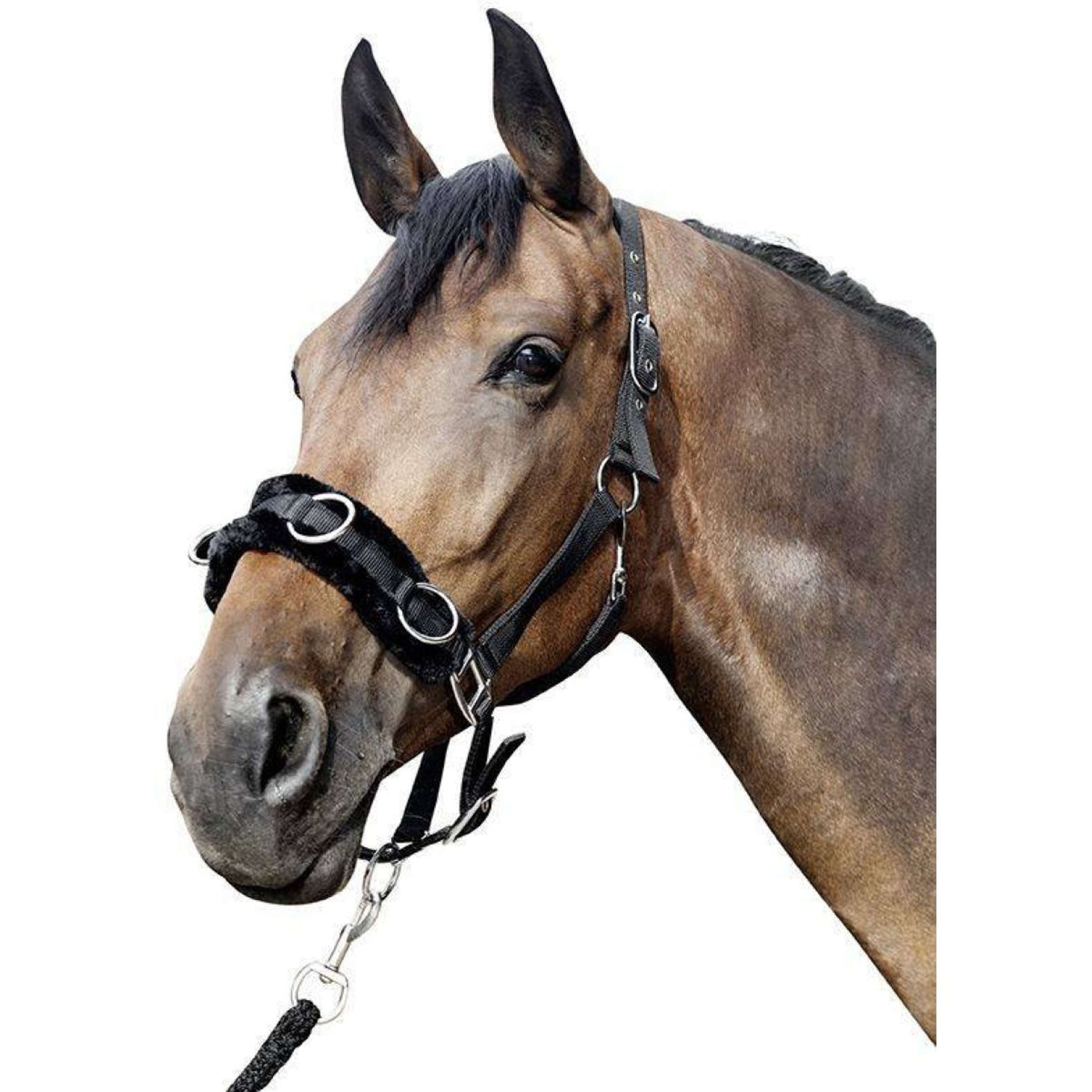 HKM Kaptoom Pluche Zwart HKM Kaptoom Pluche Zwart