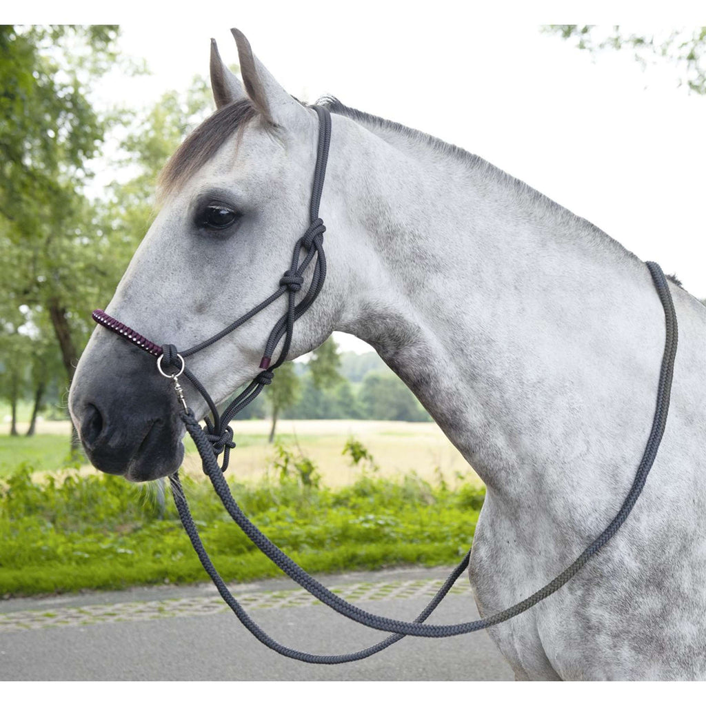 HKM Touwhalster Strass Deko met Teugels Donkergrijs/Grapevine