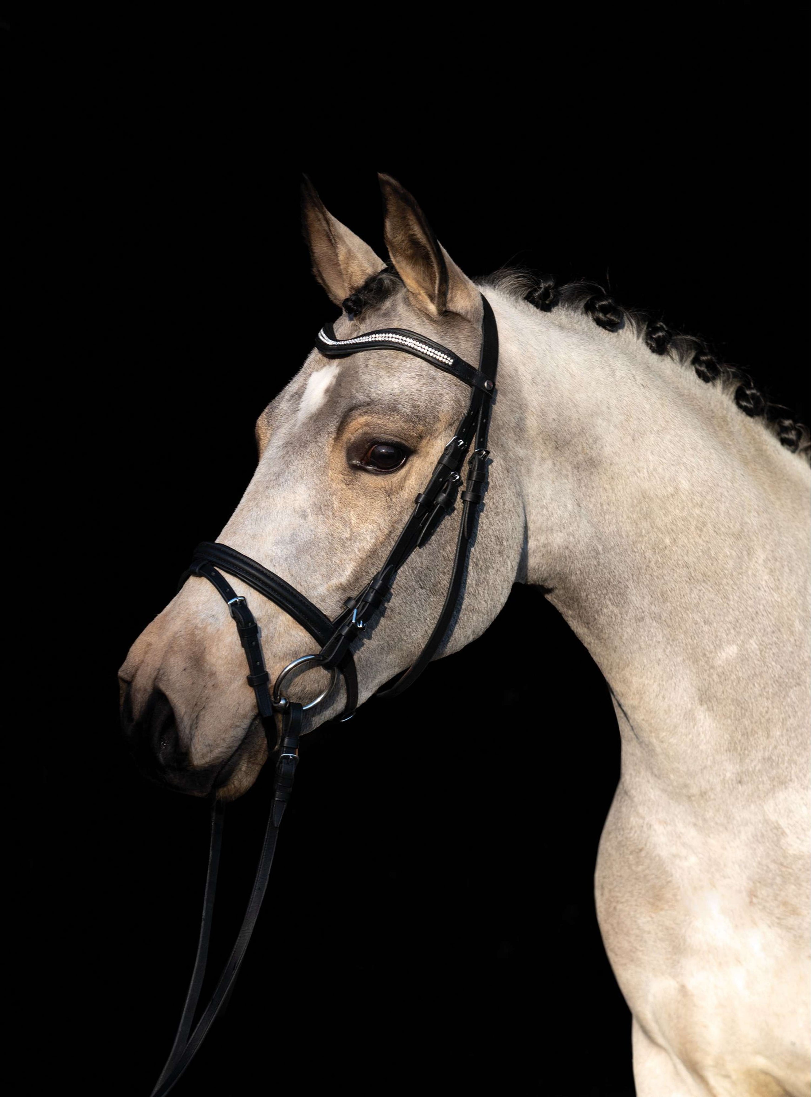 HKM Hoofdstel Little Star Zwart HKM Hoofdstel Little Star Zwart