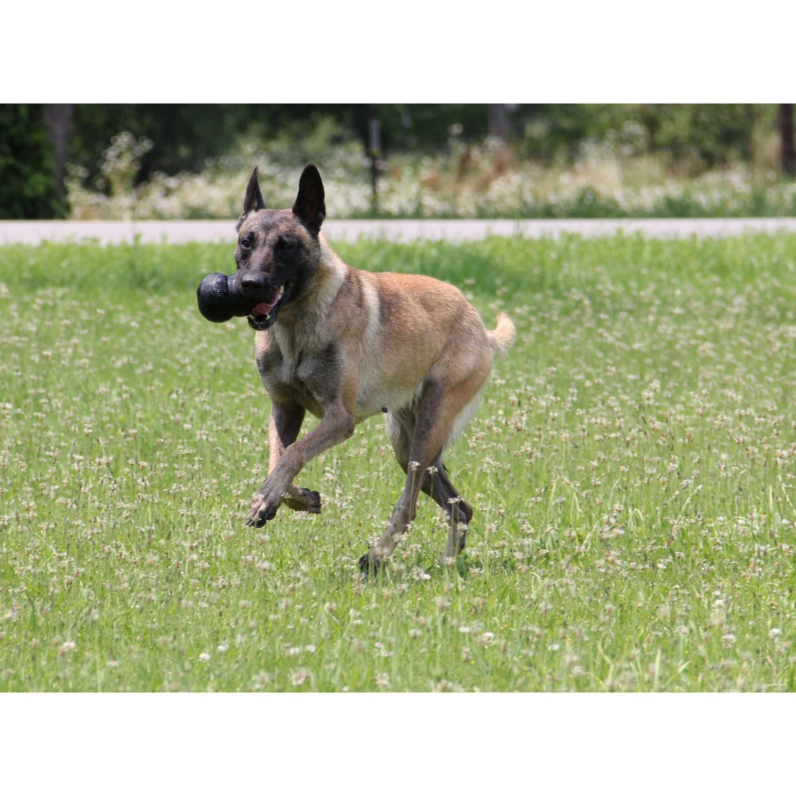 KONG Extreme Zwart KONG Extreme Zwart