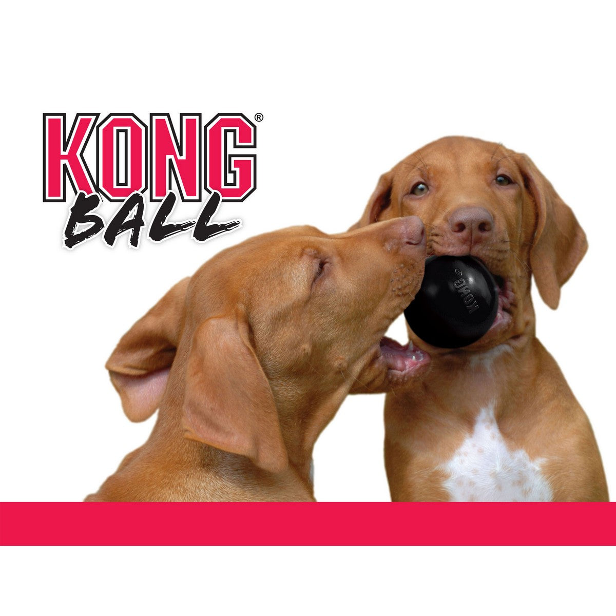 KONG X-treme Rubber Bal Zwart