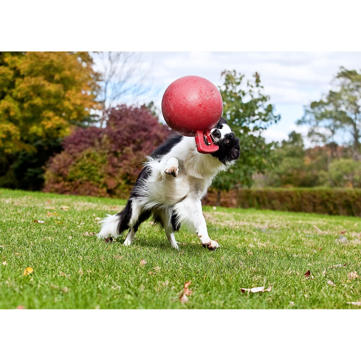 Jolly Ball Tug-n-Toss Rood