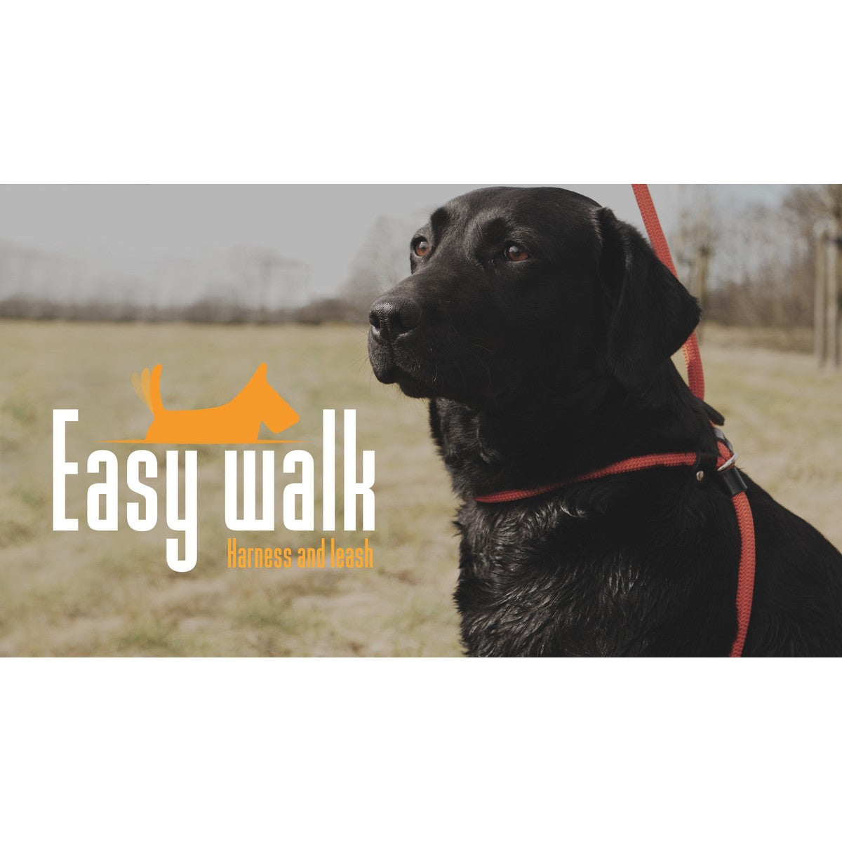 Agradi Easy Walk Schoudermodel Rood