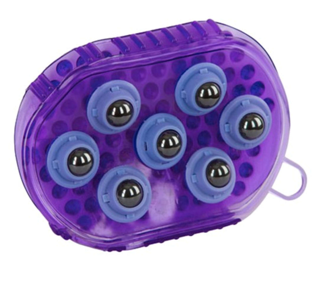 Borstel Magneet Massage Paars