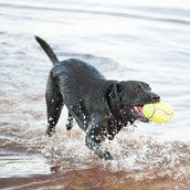 KONG AirDog Dumbbell