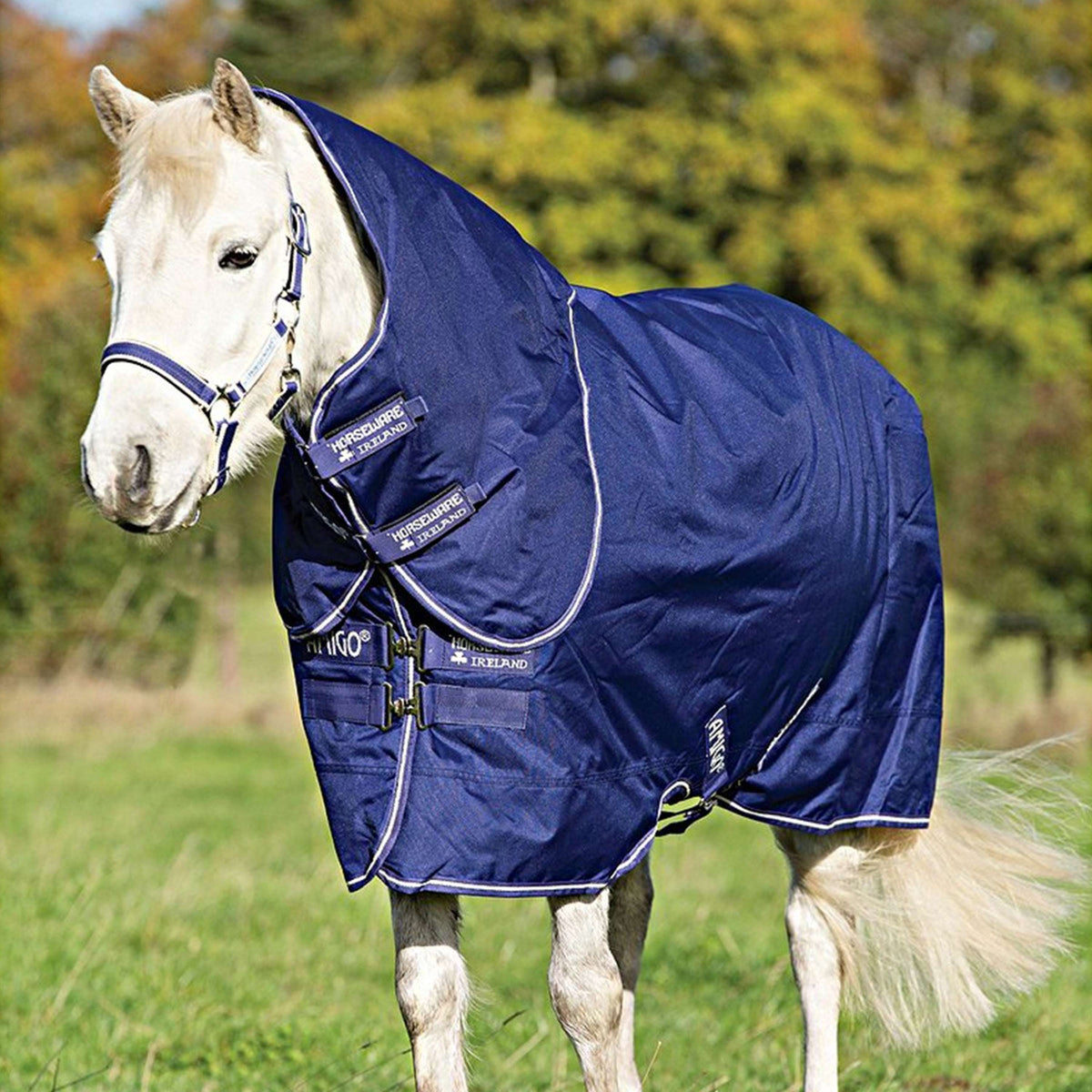 Amigo Turnout Medium Hero 900 Plus 200g Atlantic Blue/AB Ivory