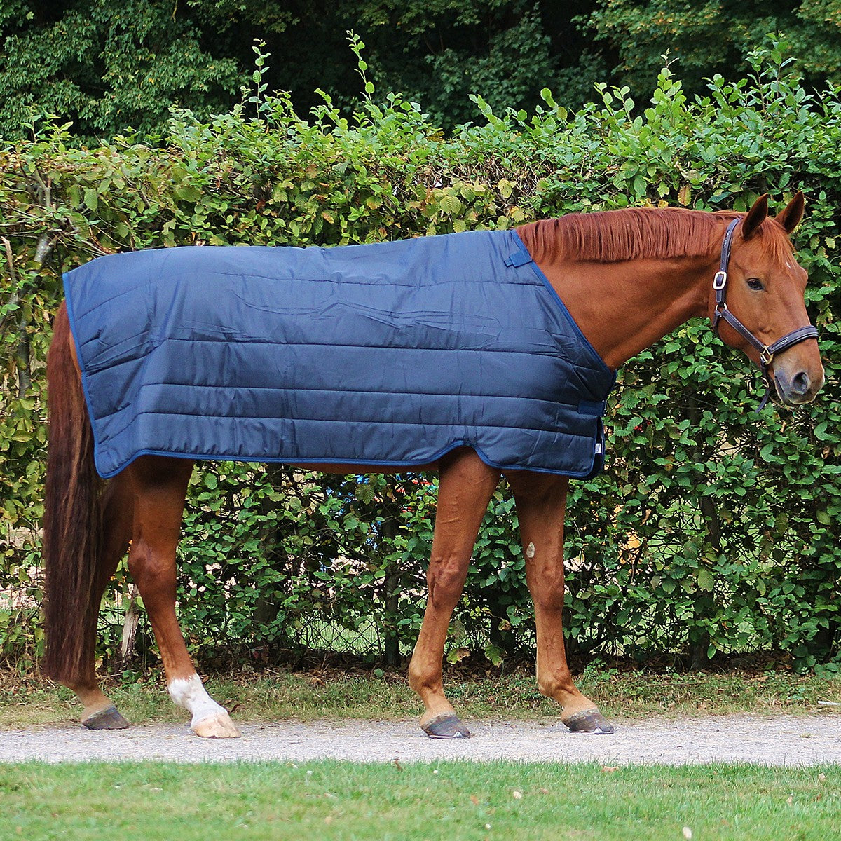 Horseware Liner 400gr Navy