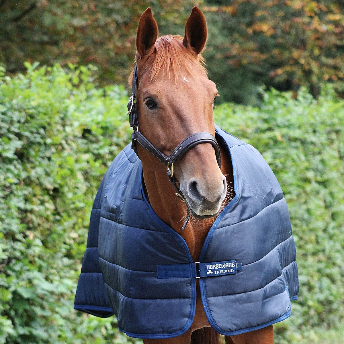 Horseware Liner 400gr Navy