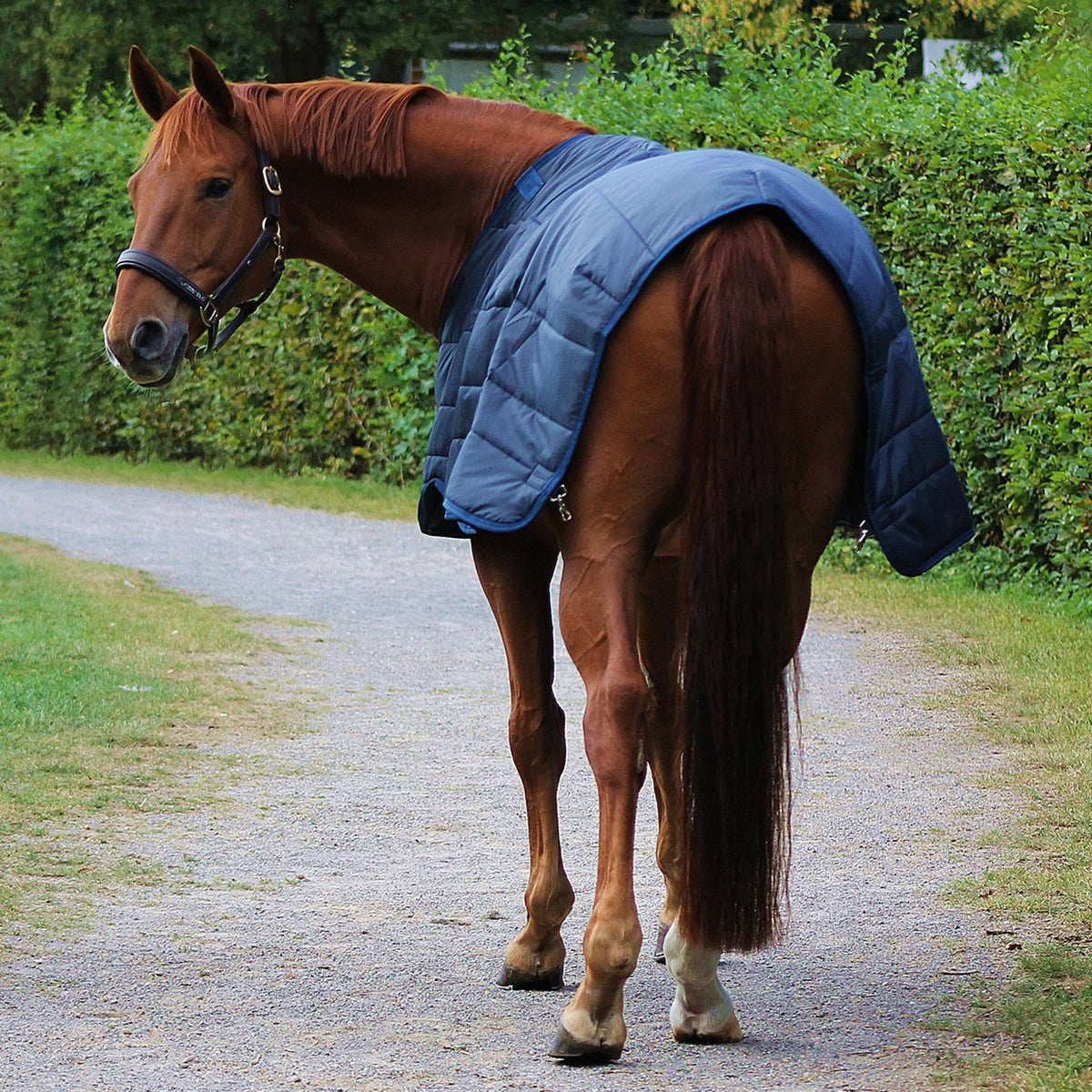 Horseware Liner 200g Navy