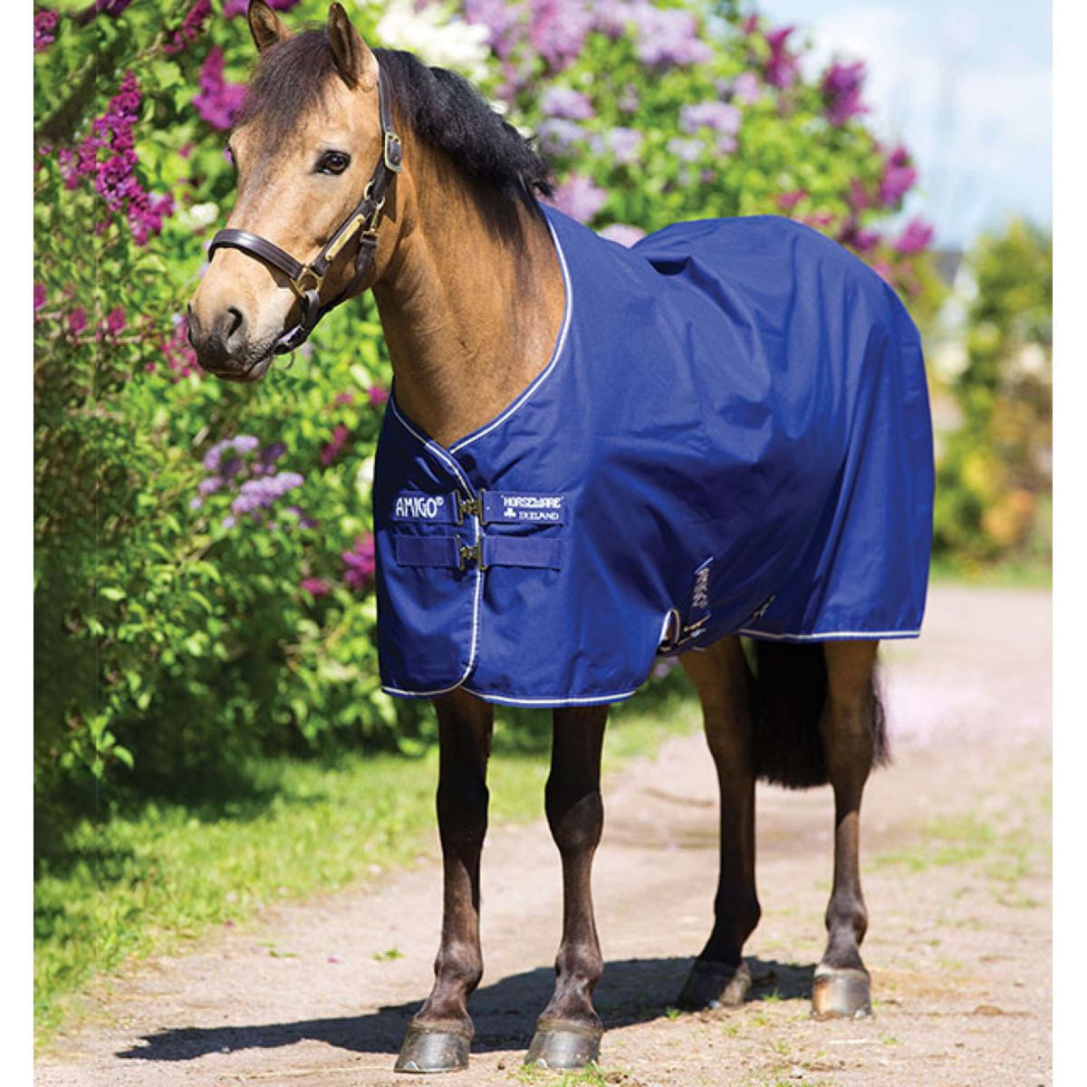 Amigo Turnout Medium Hero 900 200g Atlantic Blue/AB Ivory