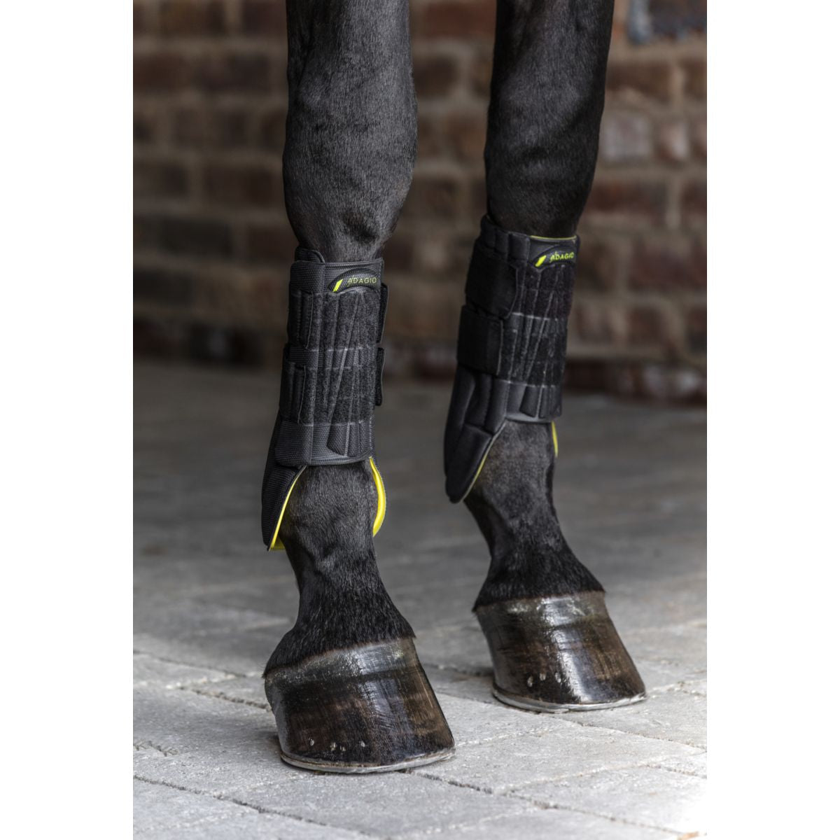 Horseware Protective Leg Boot Zwart/Geel