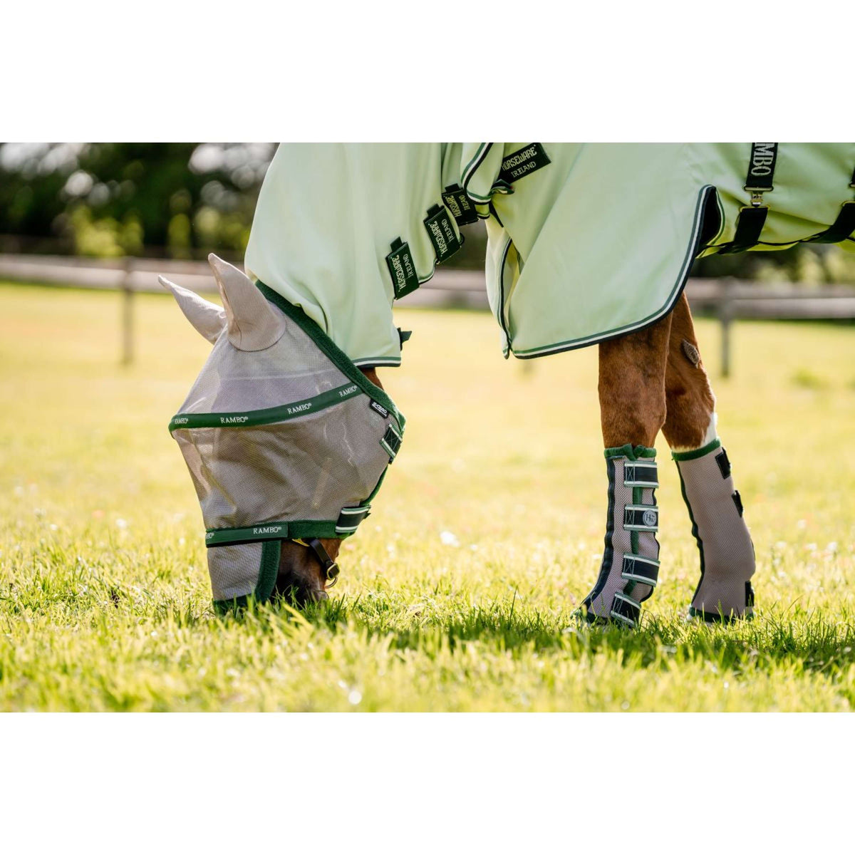 Horseware Flyboots Oatmeal/Sage