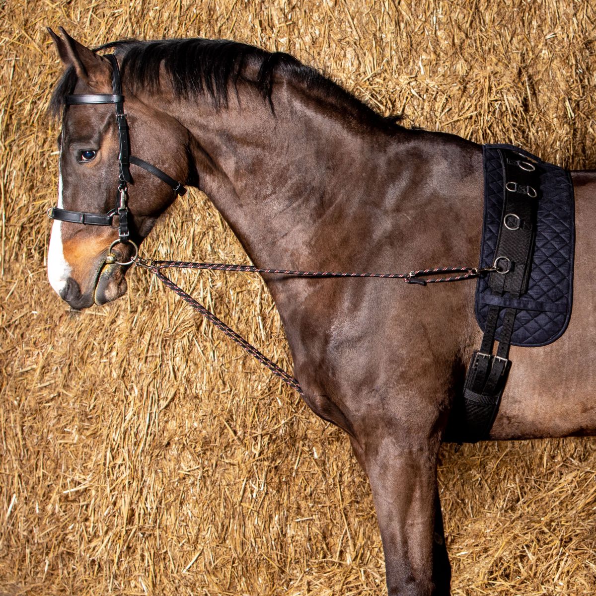 Harry's Horse Longeerkoord V-line Zwart