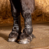 Harry's Horse Peesbeschermers Pinlock Zwart