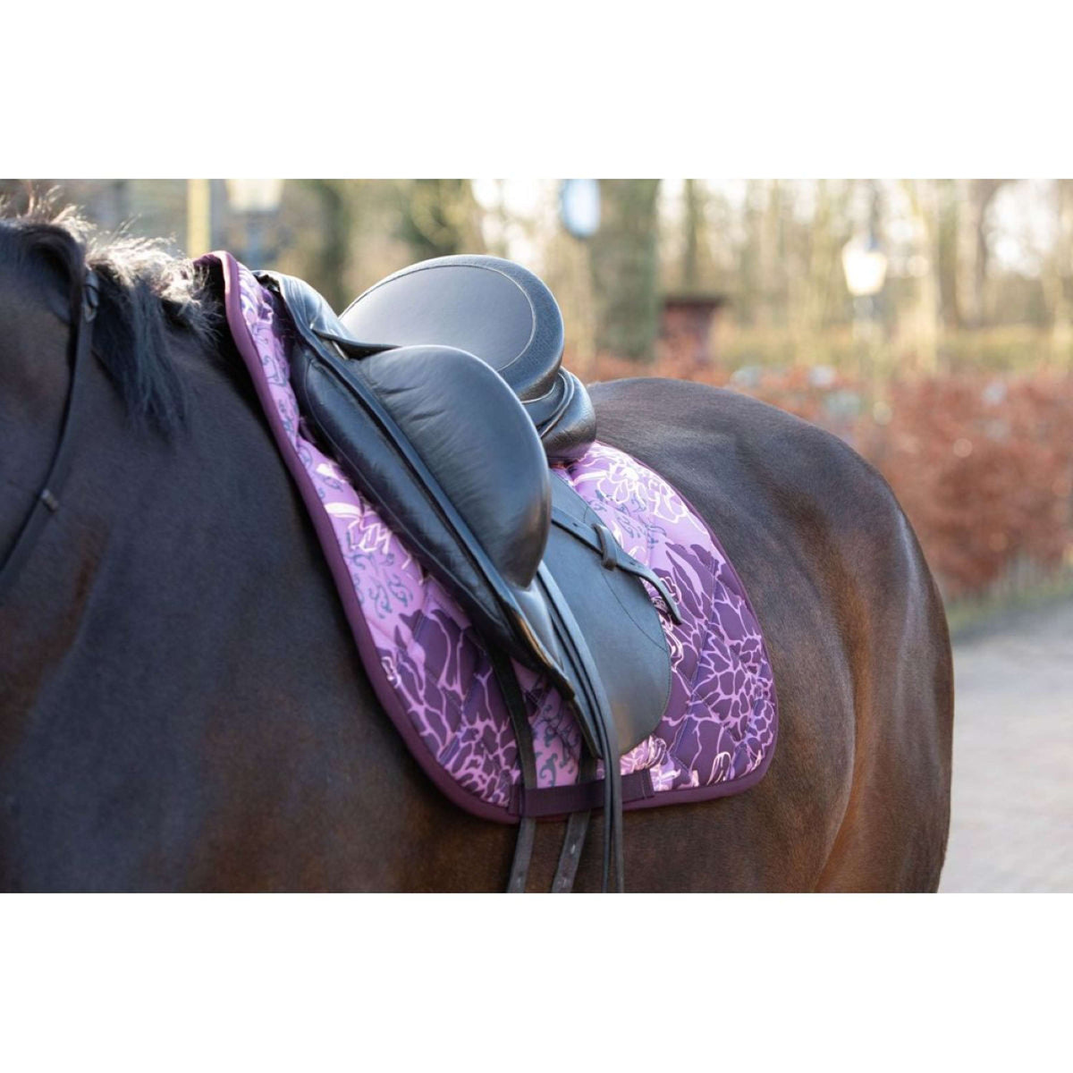 Harry's Horse Zadeldekje Denici Cavalli Scabiosa Dressuur Roze