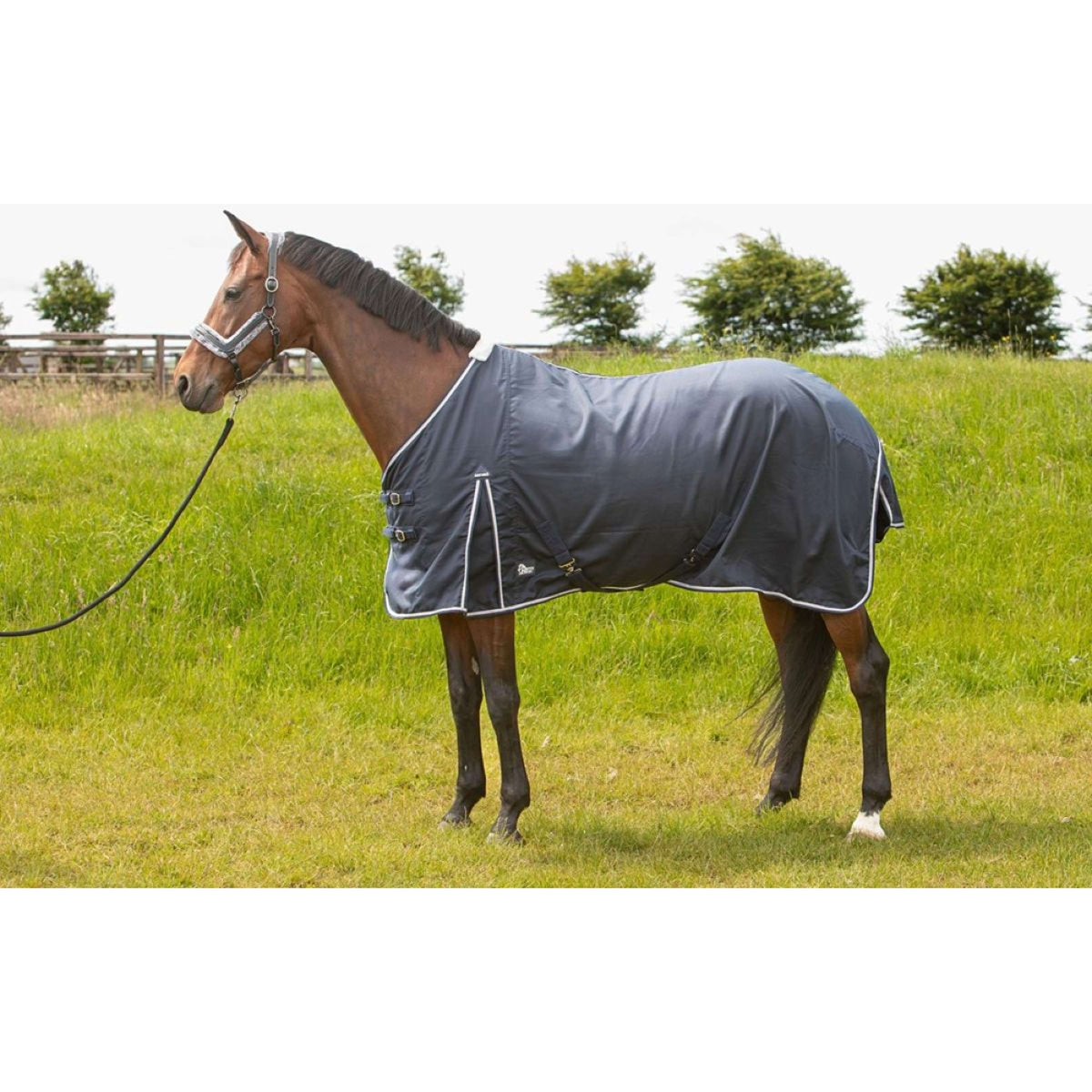 Harry's Horse Zomerdeken Premium Navy