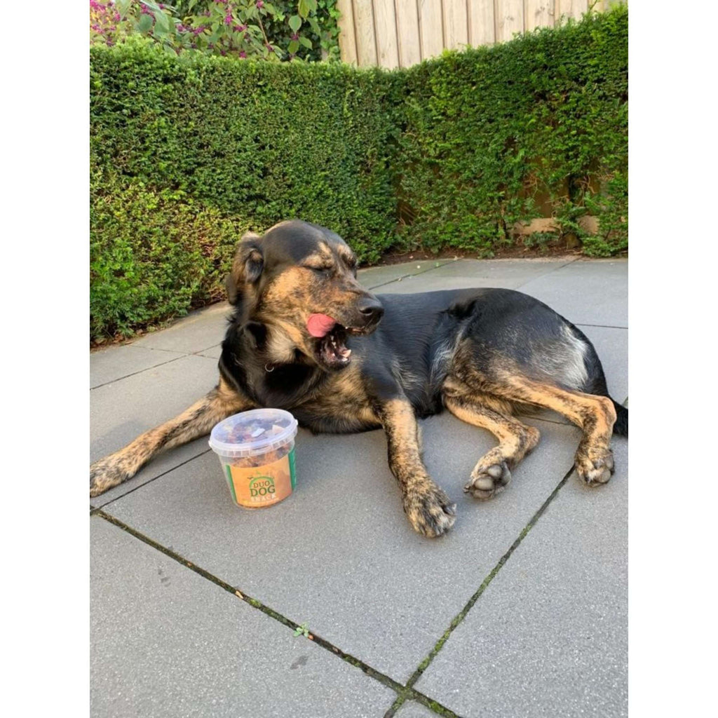 Duo Protection Duo Dog Hondensnack