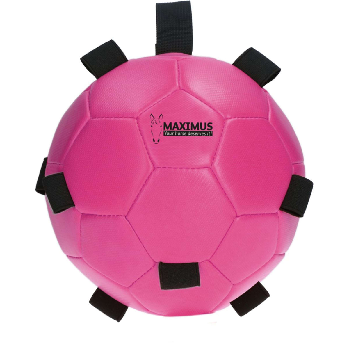 Maximus Bal Fun Play Roze