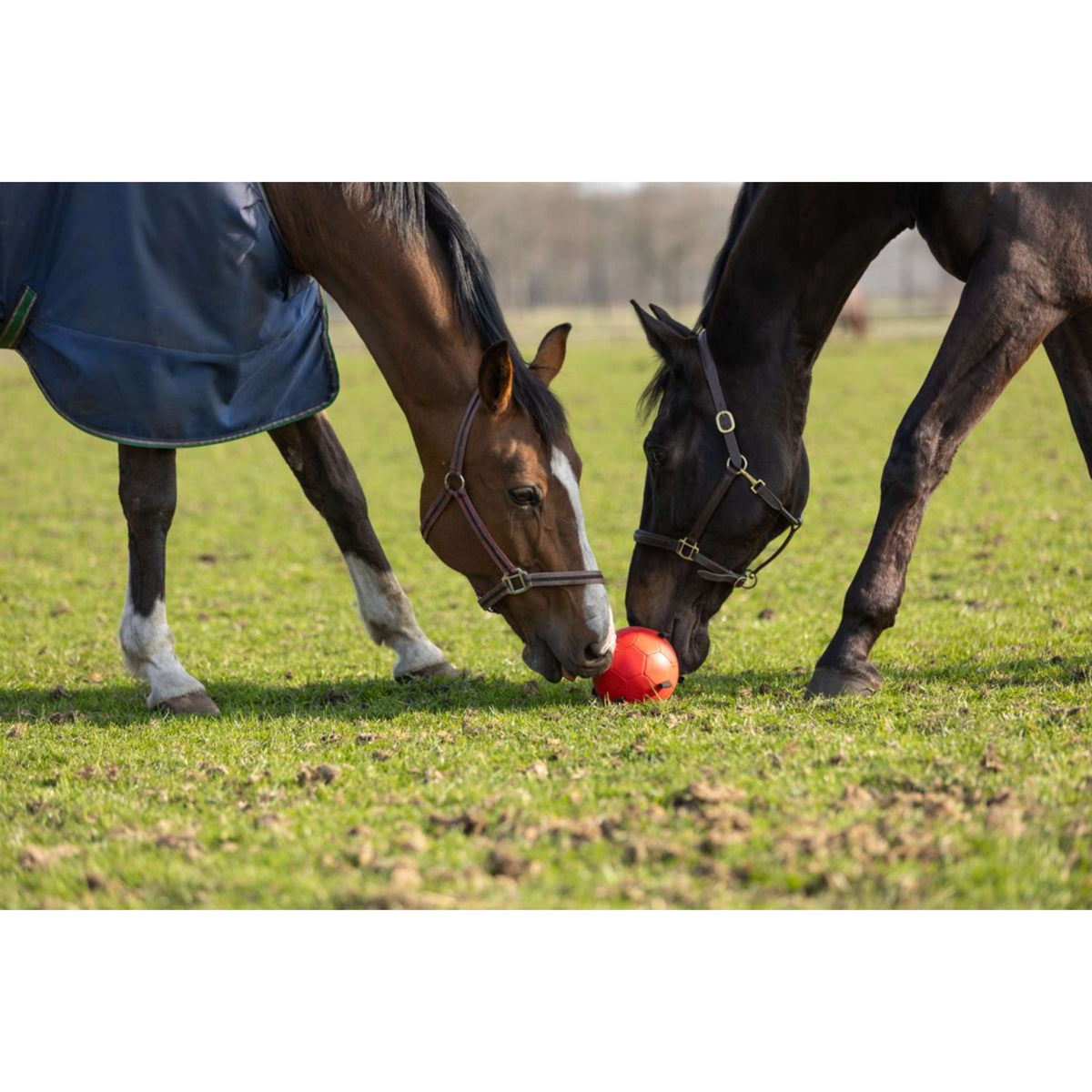 Maximus Bal Fun Play Groen