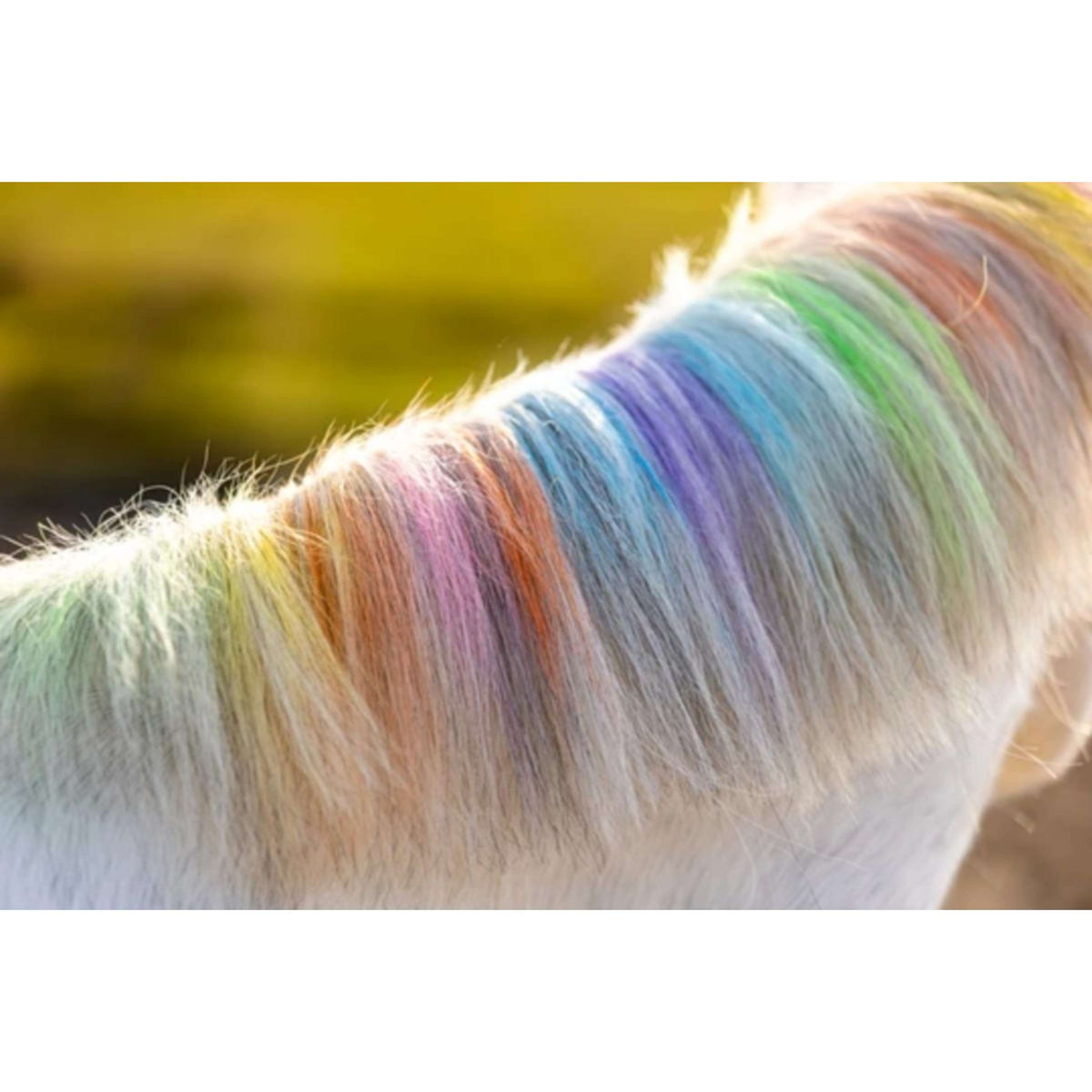 Lucky Horse Haarkrijt Unicorn Regenboog