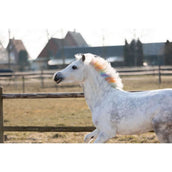 Lucky Horse Haarkrijt Unicorn Regenboog