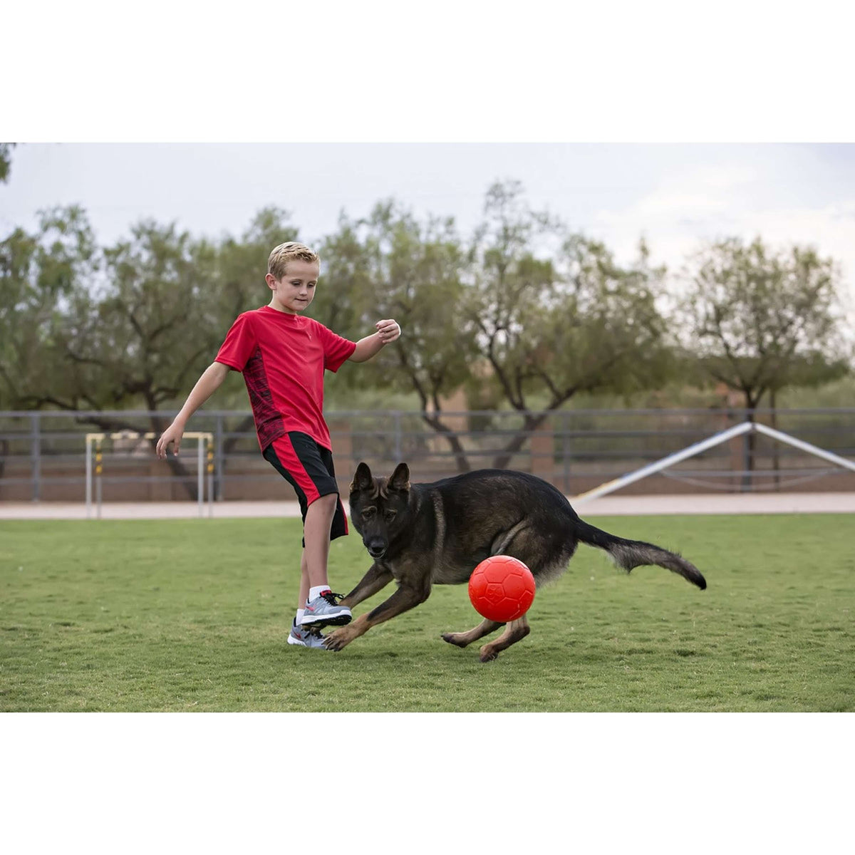 Jolly Pets Mini Soccer Ball Appelgroen Jolly Pets Mini Soccer Ball Appelgroen