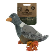 Wild Life Dog Pigeon (duif)