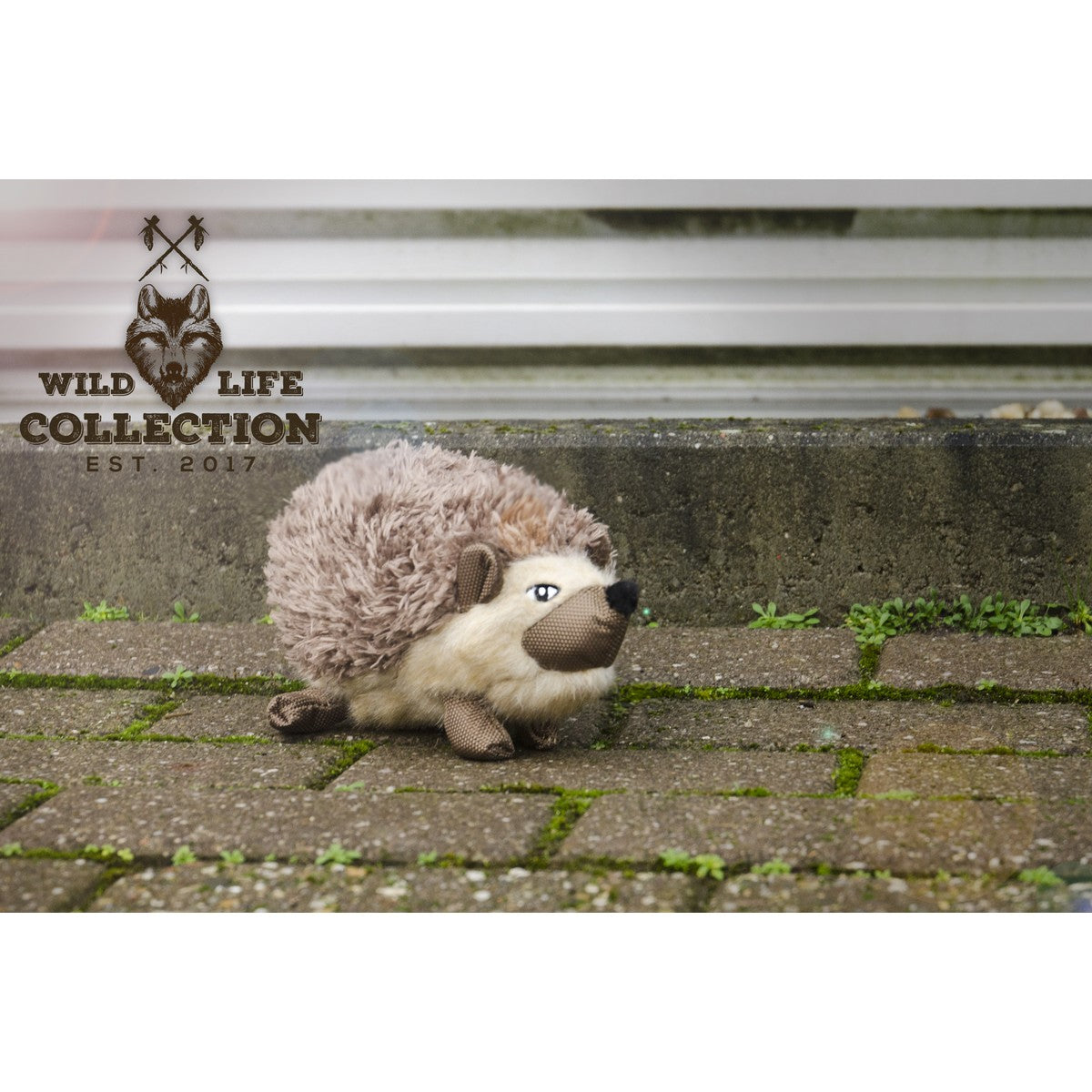 Wild Life Dog Hedgehog (egel)