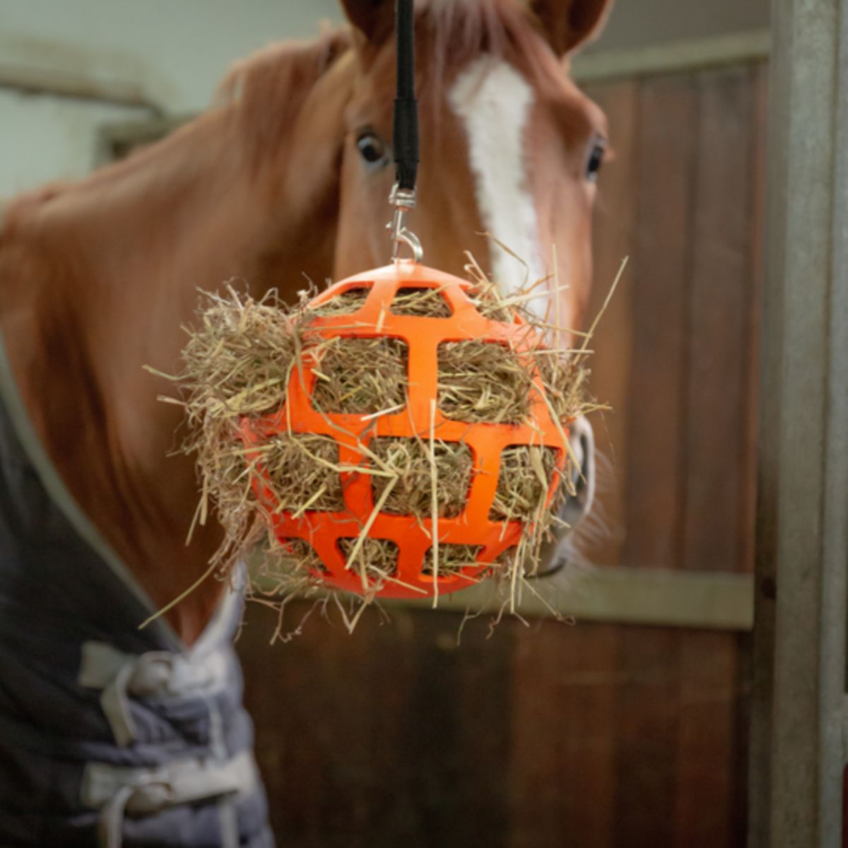 Excellent Hay Slowfeeder Fun and Flex Oranje