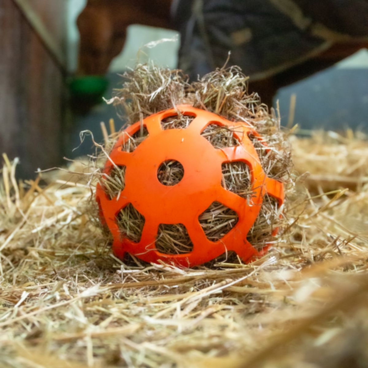 Excellent Hay Slowfeeder Fun and Flex Oranje