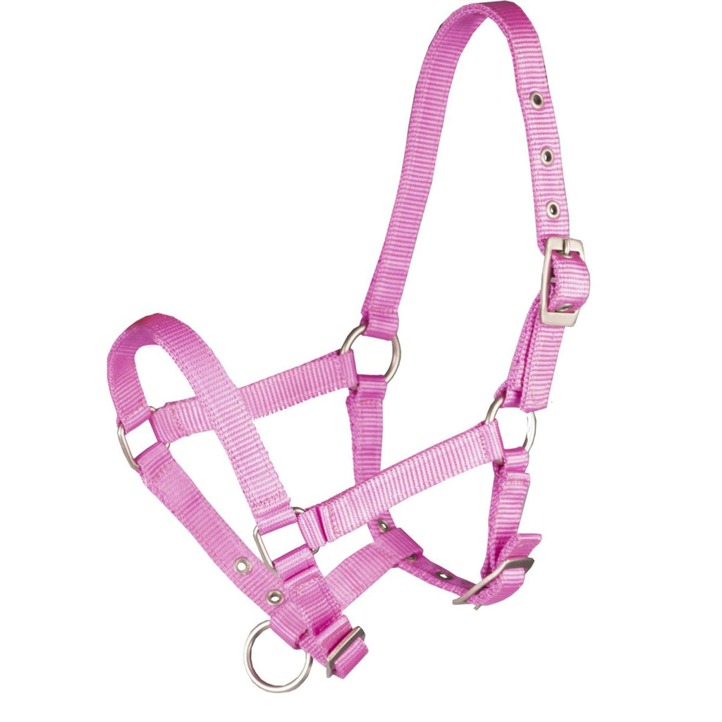 HORKA Halster Basic Veulen Hot Pink