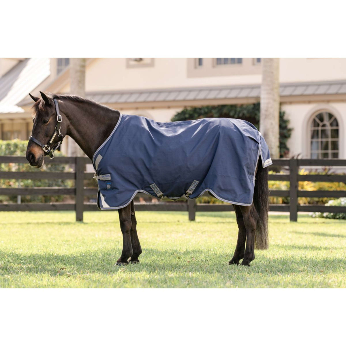 Rhino Turnout Pony 0g Navy/Titanium Grey/Classic Blue