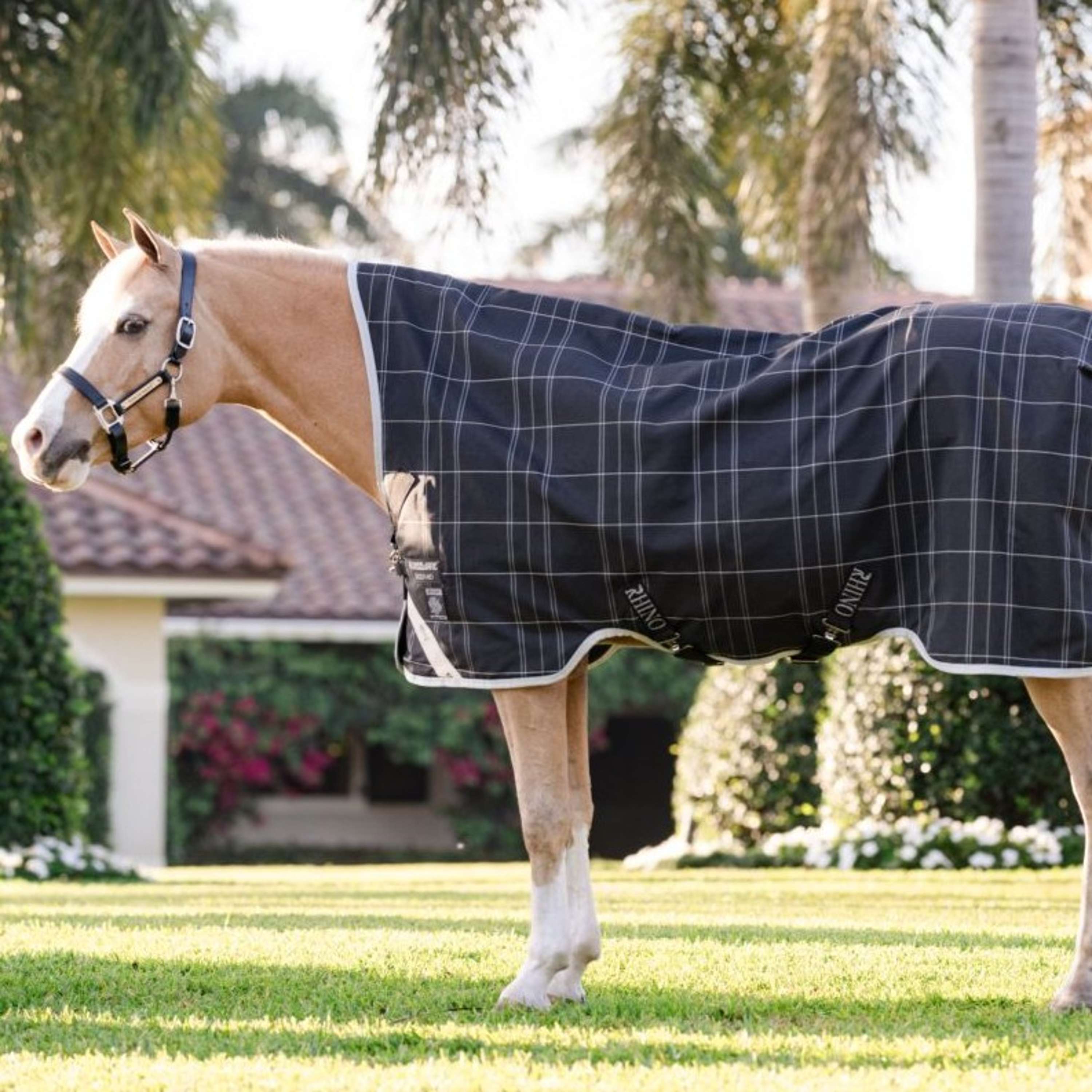 Rhino Wug Turnout Pony 0g Blk/Grey/White Chk/Gray