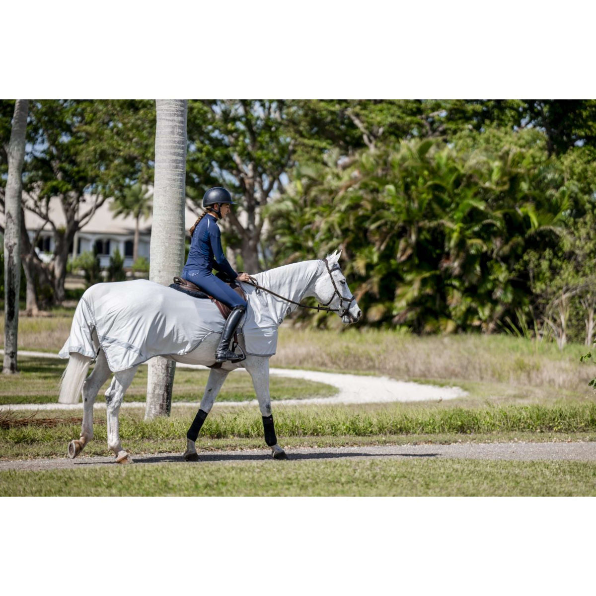 Amigo Flyrider Silver/Titanium Grey/Silver