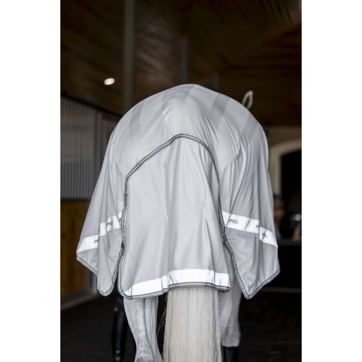 Amigo Flyrider Silver/Titanium Grey/Silver