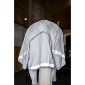 Amigo Flyrider Silver/Titanium Grey/Silver