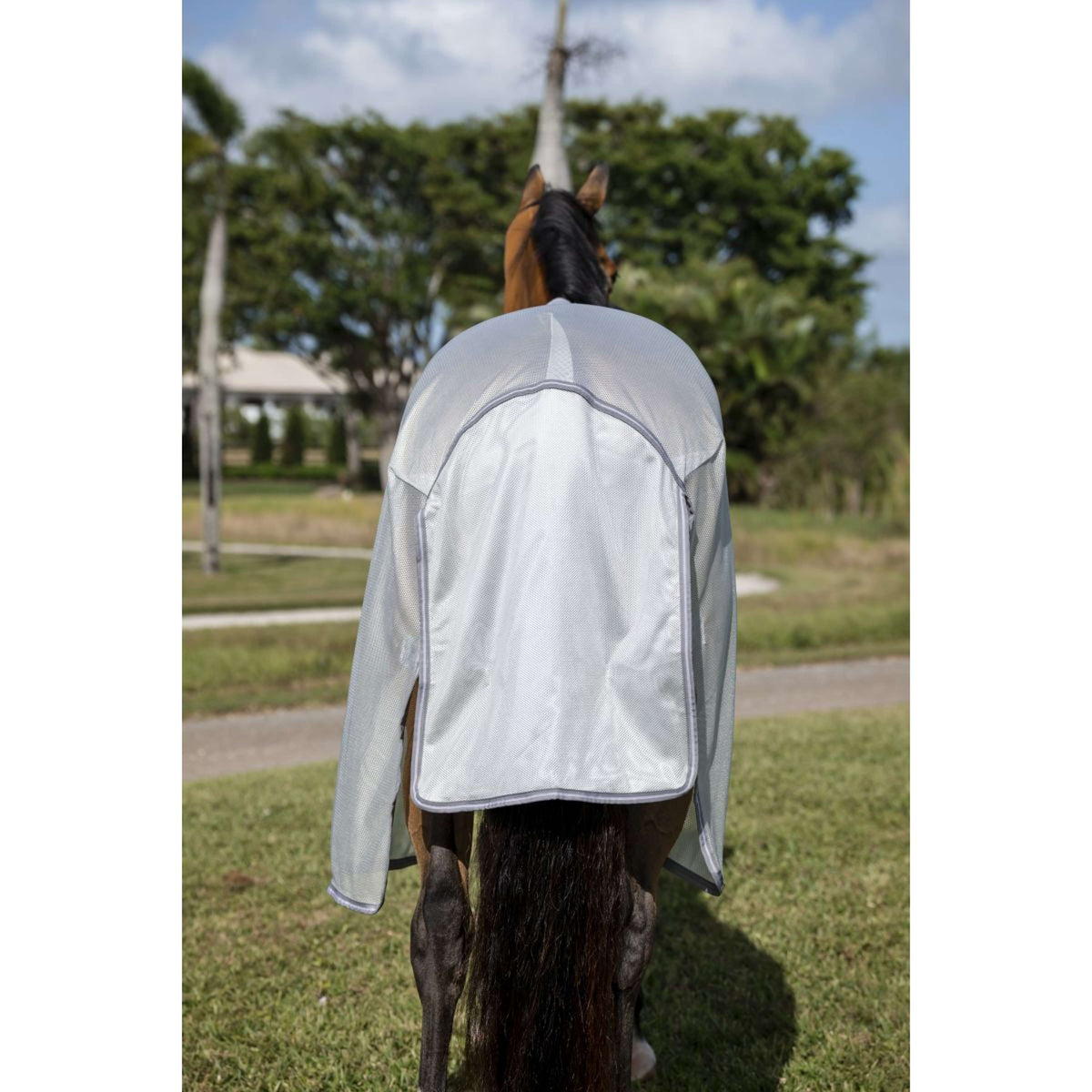 Amigo Bug Buster Silver/Titanium Grey/Silver