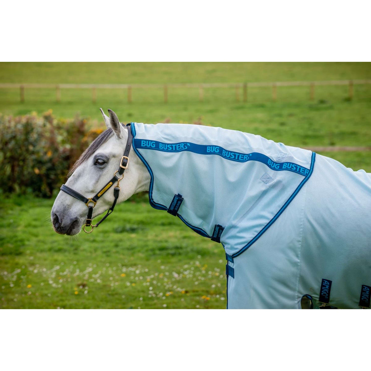 Amigo Halsstuk Bug Buster Azure Blue/Navy/Electric Blue