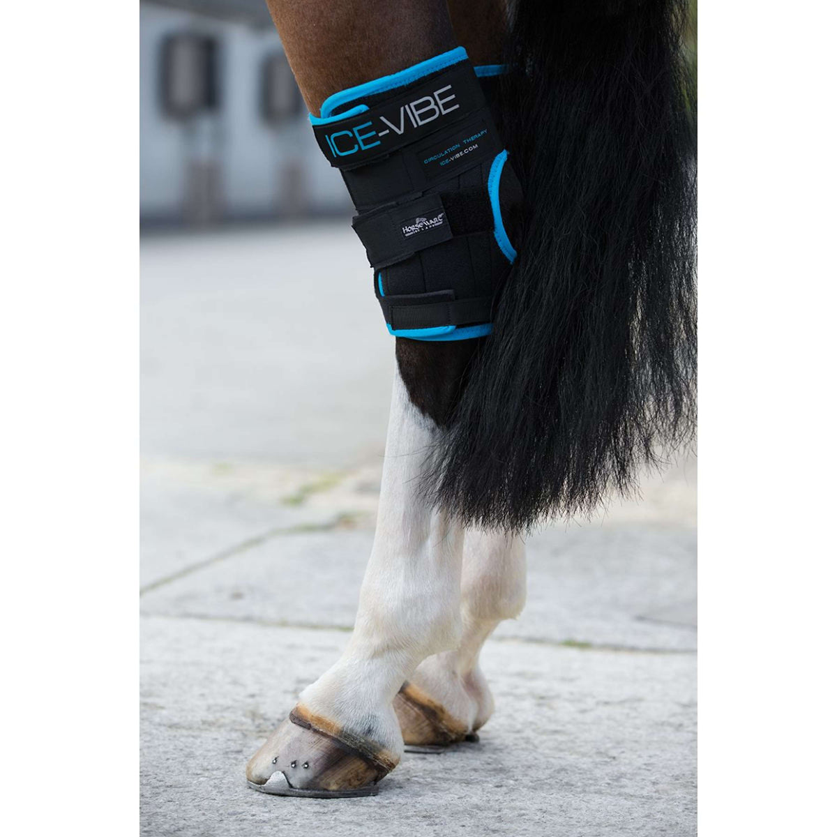 Ice-Vibe Hock Wrap II 2 Stuks Zwart/Aqua