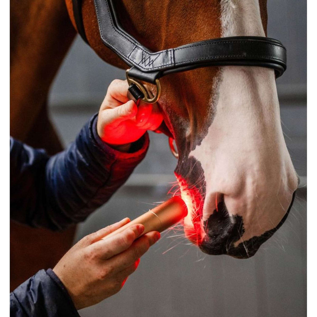 Horseware LED Red Light Therapy Wand Zwart