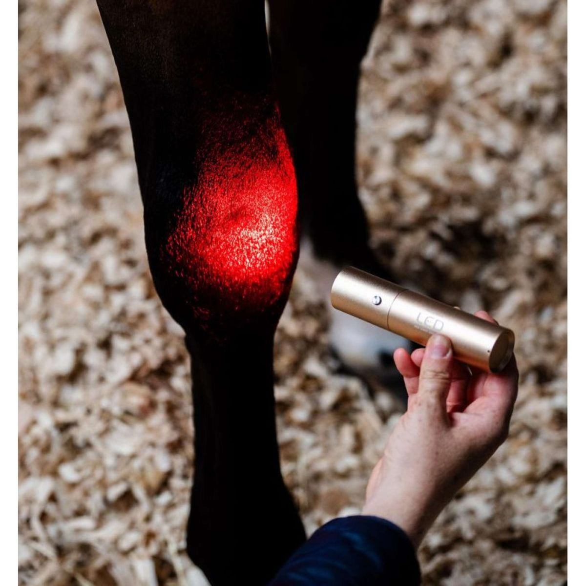 Horseware LED Red Light Therapy Wand Zwart