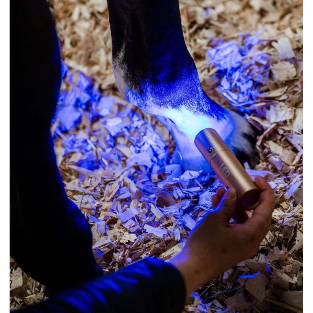 Horseware LED Red Light Therapy Wand Zwart