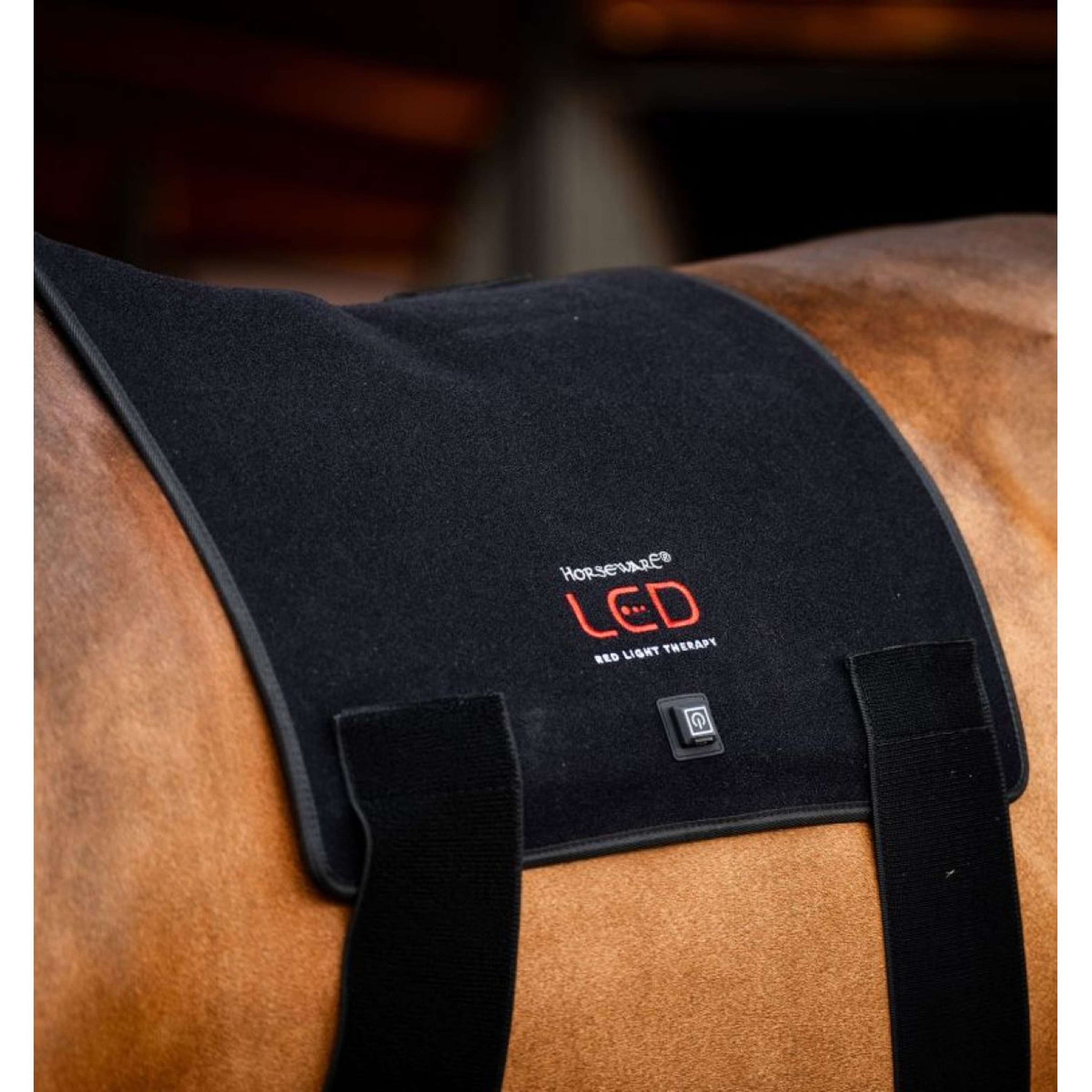 Horseware LED Red Light Therapy Pad Zwart