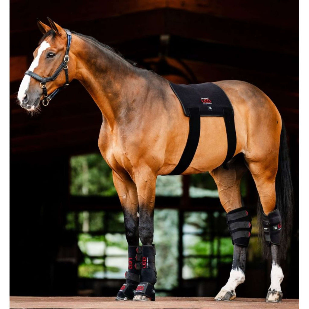 Horseware LED Red Light Therapy Pad Zwart