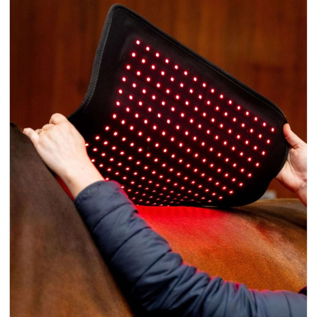 Horseware LED Red Light Therapy Pad Zwart