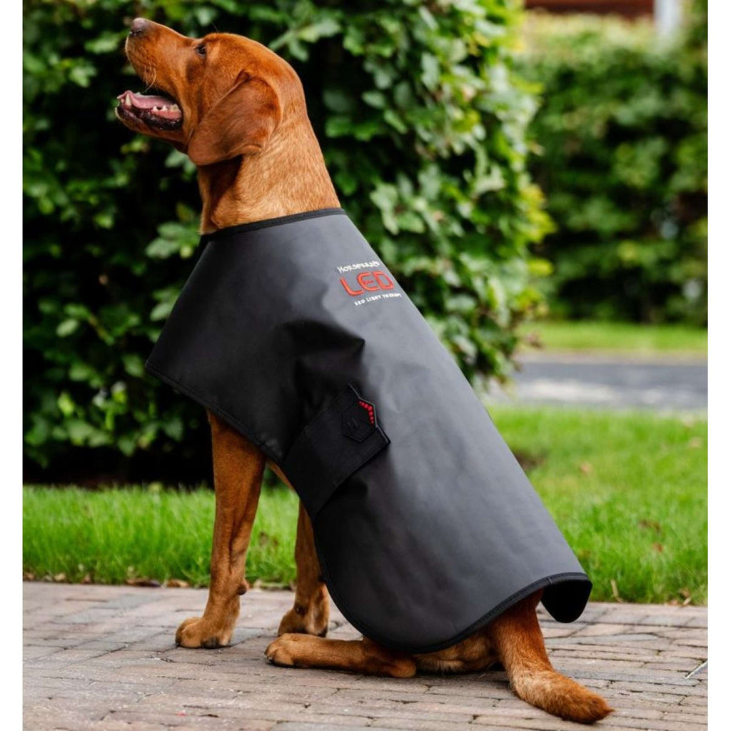 Horseware LED Red Light Therapy Deken Zwart