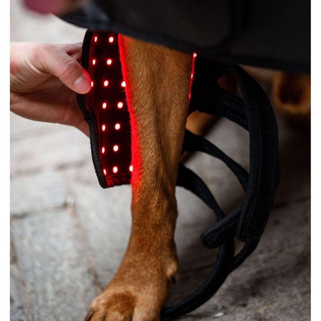 Horseware LED Red Light Therapy Pet Leg Wrap Zwart