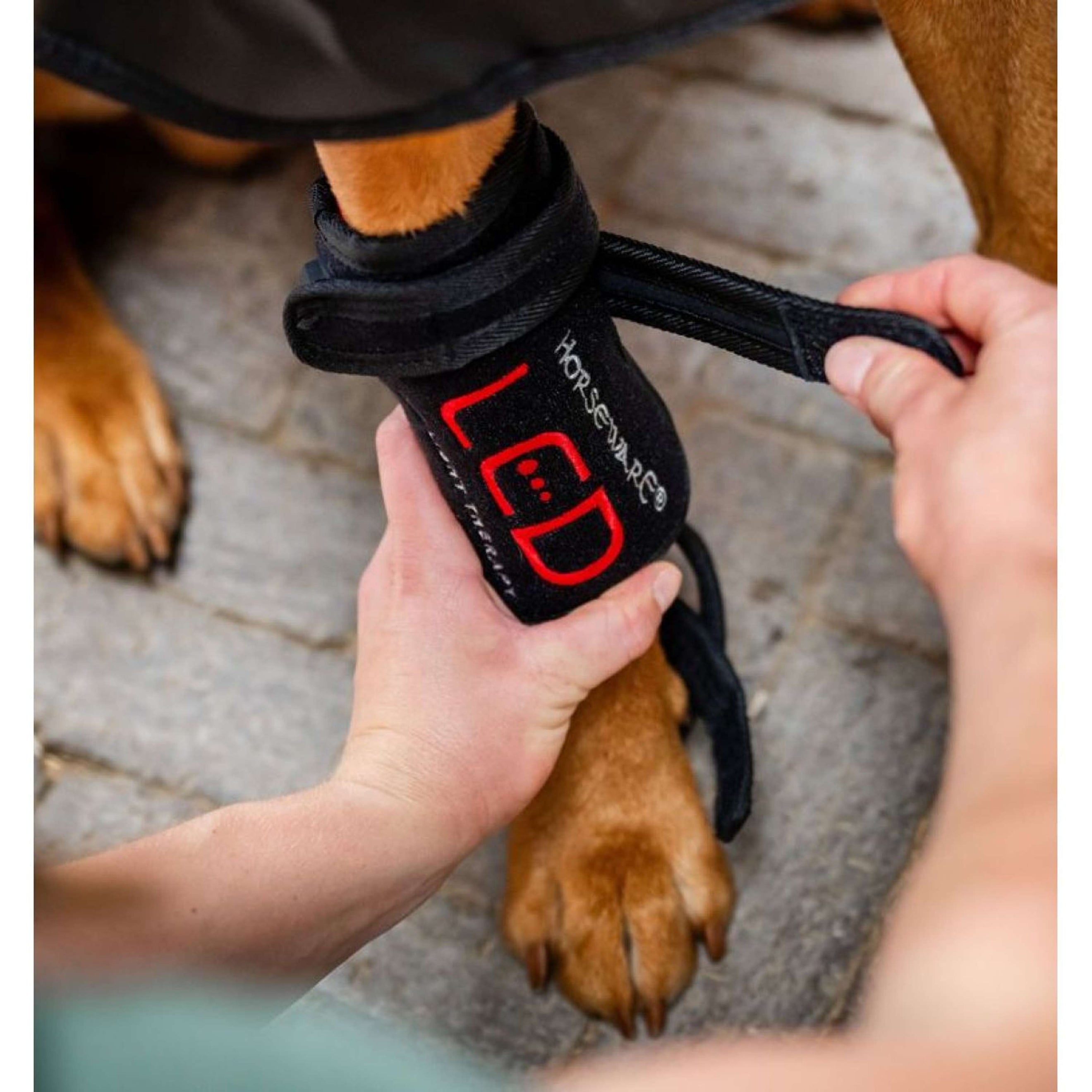 Horseware LED Red Light Therapy Pet Leg Wrap Zwart
