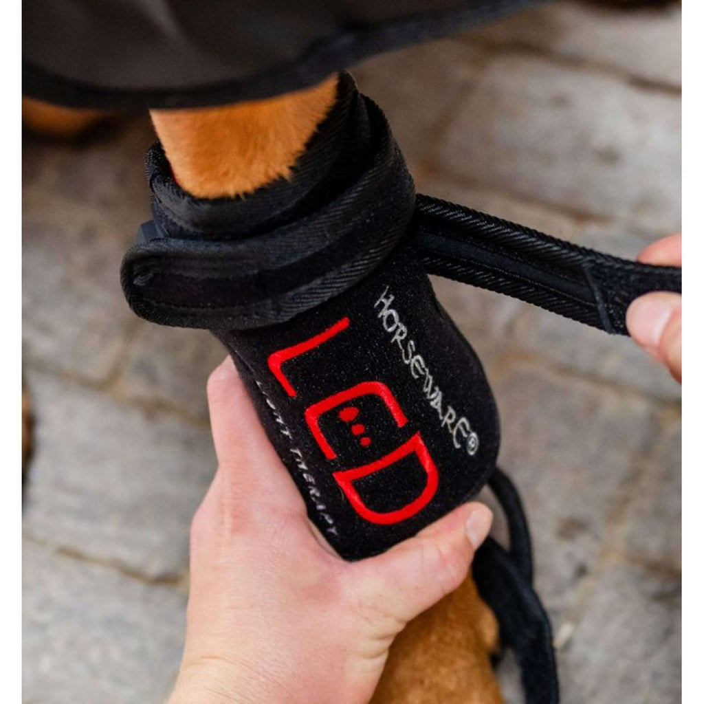 Horseware LED Red Light Therapy Pet Leg Wrap Zwart